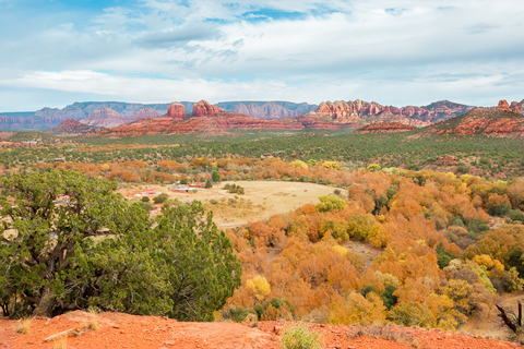 Från Sedona: 1,5-timmars Oak Creek Canyon Jeep Pavement Tour