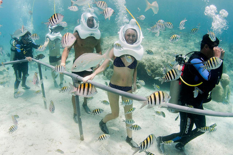 Z Cancun: Xcaret Park All Inclusive