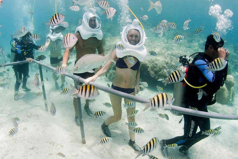 Z Cancun: Xcaret Park All Inclusive