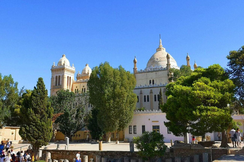 Tour privato Museo del Bardo, Cartagine, Sidi Bou Said e Medina