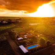 Barossa Valley: Bespoke Elite Wine Tasting Experience Barossa Valley: Bespoke Elite Wine Tasting Experience