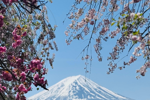 Tokyo: Private Daytrip to Mount Fuji - Fully Customizable Mt Fuji Private Luxury Van Tour (Customizable Experience)