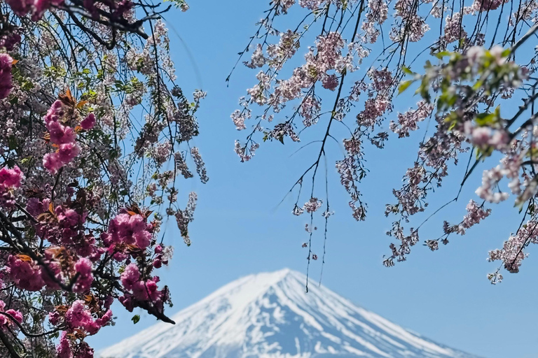 Tokyo: Private Daytrip to Mount Fuji - Fully Customizable Mt Fuji Private Luxury Van Tour (Customizable Experience)