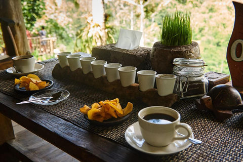 Ubud: Monkey Forest, Rice Terrace, Waterfall Private Tour Private Tour Without Entry Tickets