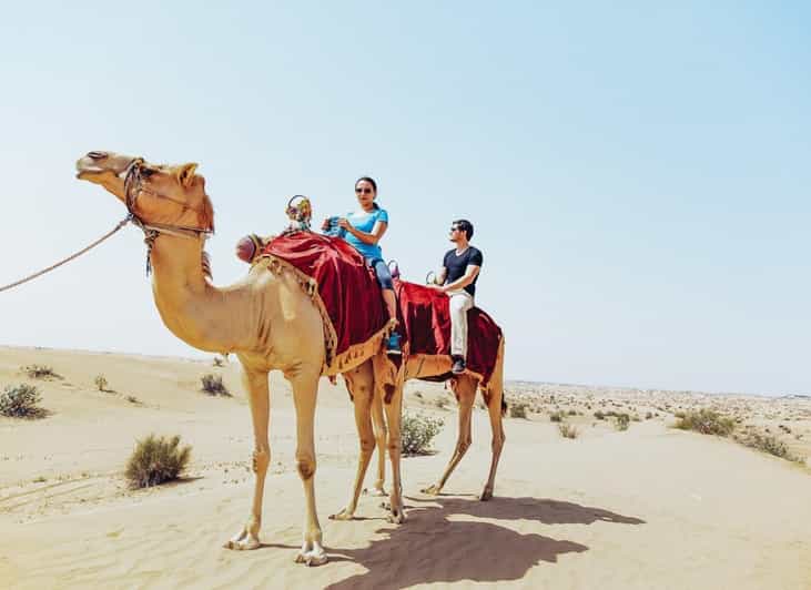 Dubai: Desert Safari, Camel Ride, Sand Board, Shows & More | GetYourGuide