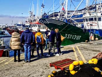 Santoña: Anchovy Art Gallery with Fishing Port and Market