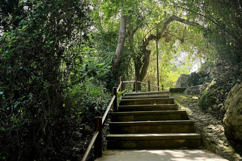 Blue Lagoon (Akamas) Bus & Boat Tour from Paphos