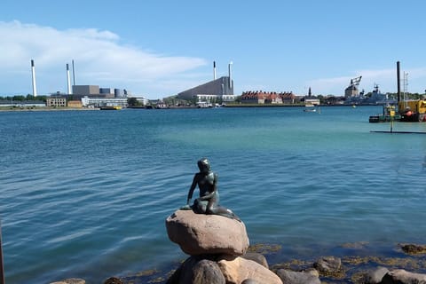 Copenaghen: tour introduttivo a piedi del porto