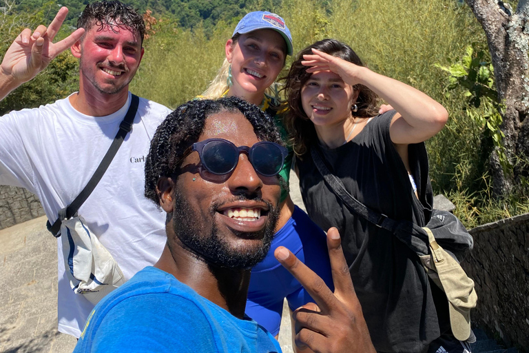 Rio de Janeiro: Santa Marta Favela Tour and Hike