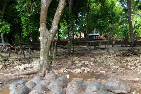 Zanzibar: tour guidato dell'isola prigione con guida localeZanzibar: tour guidato dell'isola prigione con una guida locale