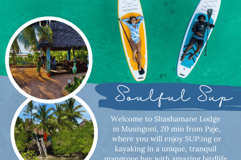 Zanzibar: Soulful SUP/kayak adventure in mangrove bay Soulful kayak ~ a peaceful adventure in unique mangrove bay