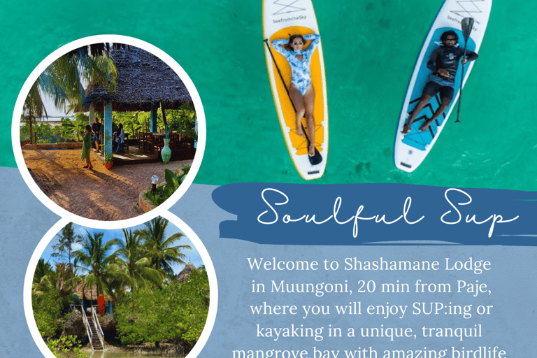 Zanzibar: Soulful SUP/kayak adventure in mangrove bay Soulful kayak ~ a peaceful adventure in unique mangrove bay
