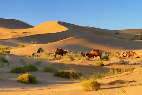 Hohhot: 6-Day Private Tour to Huitengxile and Kubuqi Desert