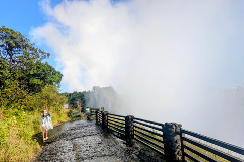 Victoria Falls Cross-Border Tour:Big Tree & Historic Bridge