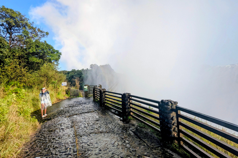 Victoria Falls Cross-Border Tour:Big Tree & Historic Bridge