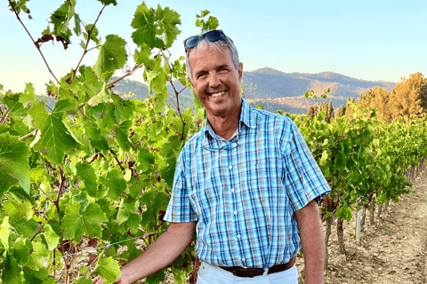 La Londe-les-Maures: Half-Day Wineries Tour with Tastings