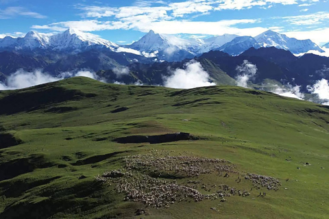 From Pokhara: 4-Day Dhorpatan & Bukipatan Trekking Tour
