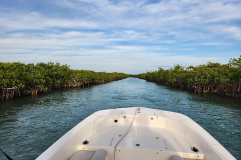Lower Florida Keys: Private Boat Tour with Local Captain Lower Florida Keys: Private Four-Hour Sandbar Charter