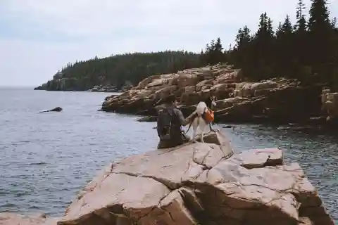 Acadia NP: Half-Day Private Tour with Cadillac Mountain
