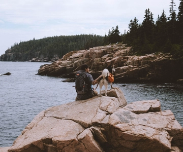 Acadia NP: Half-Day Private Tour with Cadillac Mountain