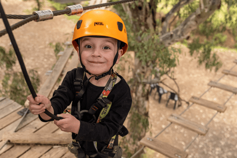 TreeClimb Adelaide : Une escalade passionnante pour les petits aventuriers