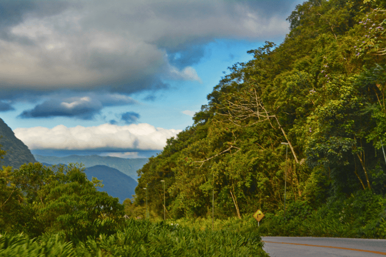 Depuis Chiang Mai : Personnalisez votre itinéraire dans le nord de la ThaïlandeDepuis Chiang Mai : Voyage sur mesure dans le nord de la Thaïlande