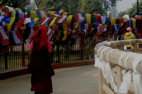 Visita a Sarnath con tu guía personal