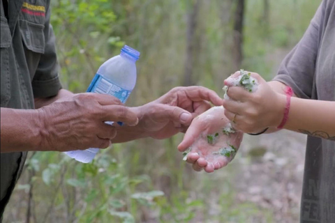 روسفيل: تجربة ثقافية أصلية مع الموكس