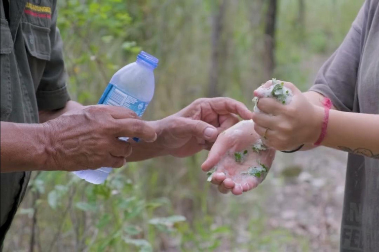 روسفيل: تجربة ثقافية أصلية مع الموكس
