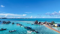 Marine Safari Tour San Andrés Bay, Incluye foto con DRONE - Hizvo