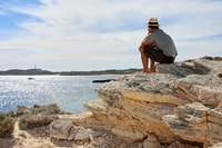 From Perth or Fremantle, Rottnest Island Ferry and Bus Tour - Housity