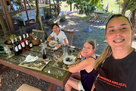 Cordano Winery – Founded by José Mujica’s Grandfather Wine Experience with transport from Colonia del Sacramento