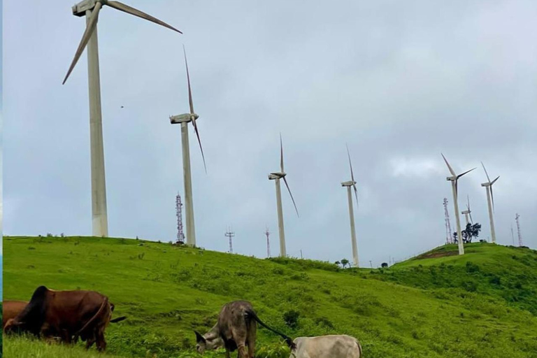 نيروبي: جولة مشي طويلة في تلال نغونغ مع مغامرة الانزلاق بالحبلNairobi: Ngong Hills Guided Hike with Zipline Adventure