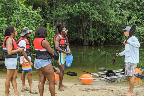 Sloth and Kayak Tour