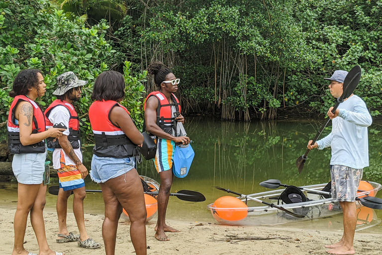 Excursión en pereza y kayak