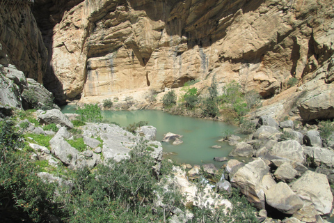 Caminito del Rey: Guided Tour with 1 Water and Shuttle Bus Caminito del Rey: Guided Tour with 1 Drink and Shuttle Bus