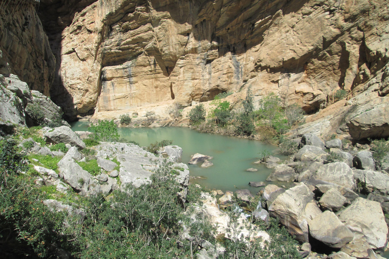 Caminito del Rey: Guided Tour with 1 Water and Shuttle Bus Caminito del Rey: Guided Tour with 1 Drink and Shuttle Bus