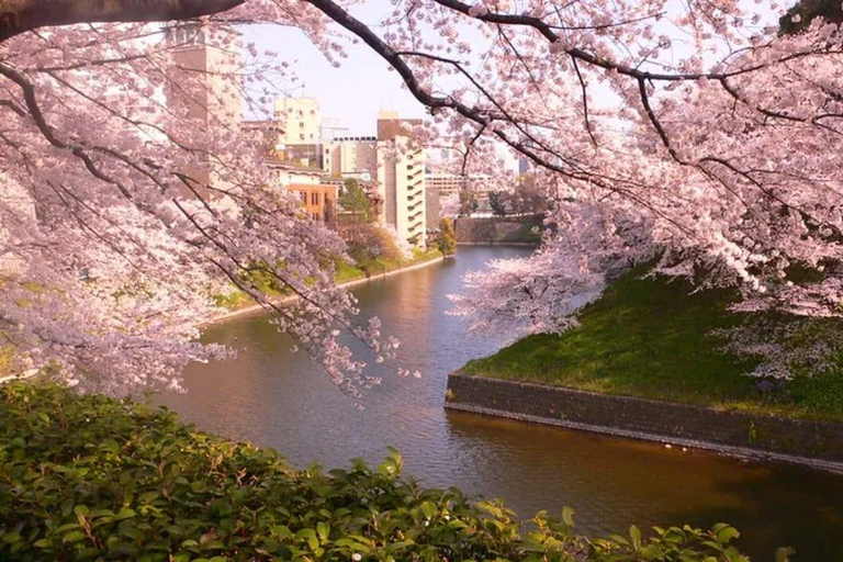 Tokyo: Private 1-Day Tour with English-Driver, Customizable