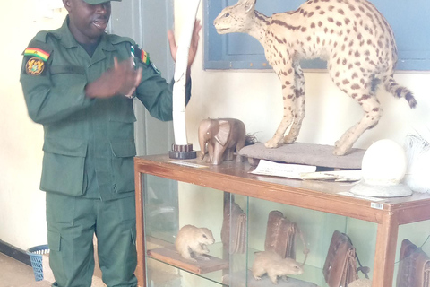 LOCATION: 5-Days Ghana heritage and local experience tour