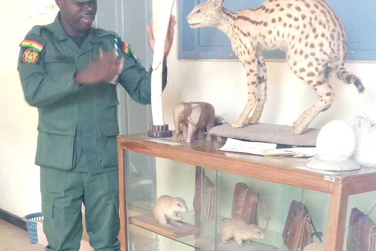 LOCATION: 5-Days Ghana heritage and local experience tour