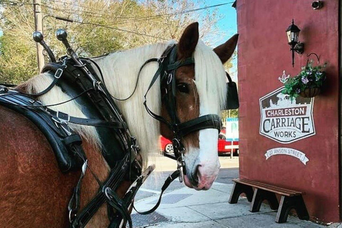 Charleston: Tour storico residenziale a cavallo e in carrozza