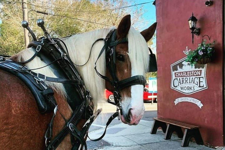 Charleston : Visite des quartiers historiques à cheval et en calèche