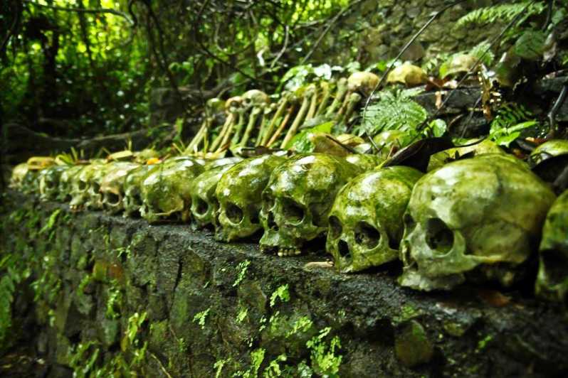 Bali: Cementerio de Trunyan, Aguas Termales y Aldea de Penglipuran