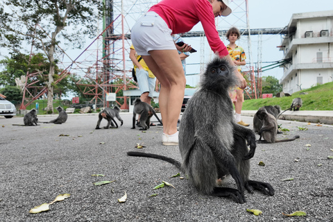 Kuala Lumpur: Kanching Falls, Eagle Feeding & Fireflies Tour Private Tour