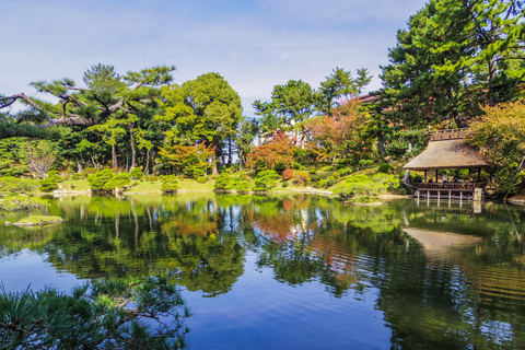 Hiroshima’s Untold Stories: History, Recovery & Peace