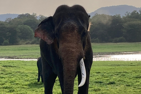 From Sigiriya: Sigiriya Lion Rock & Village Tour by Tuk Tuk