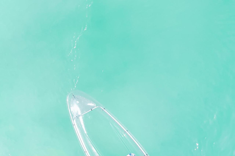 Zanzibar: Horse Riding and Kayaking with Video and Photos