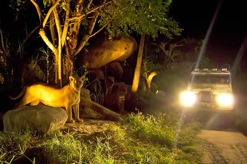 Bali Tour: Dinner with the Wildlife in the Zoo