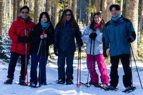 From Ljubljana/Bled: Beginner Snowshoe in Julian Alps From Bled - pickup at your accommodation
