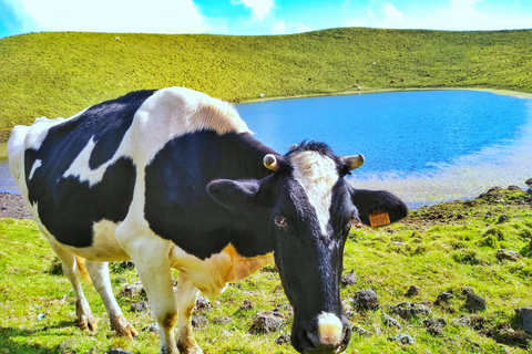 Excursión en jeep de 1 día por la isla de Pico - Azores.Excursión de 1 día en jeep por la isla de Pico - Azores